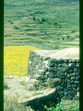 pantelleria